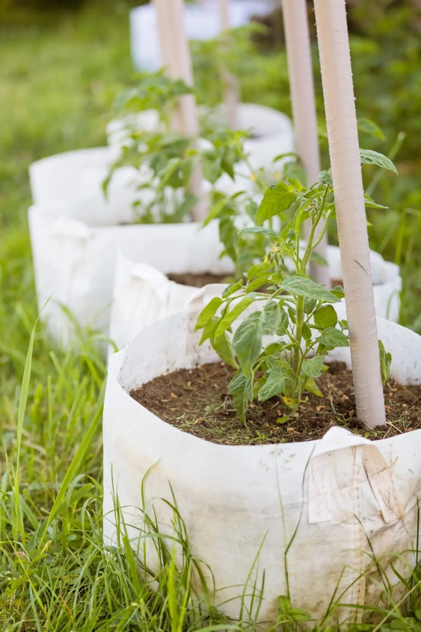 What Are Smart Pots Made of?