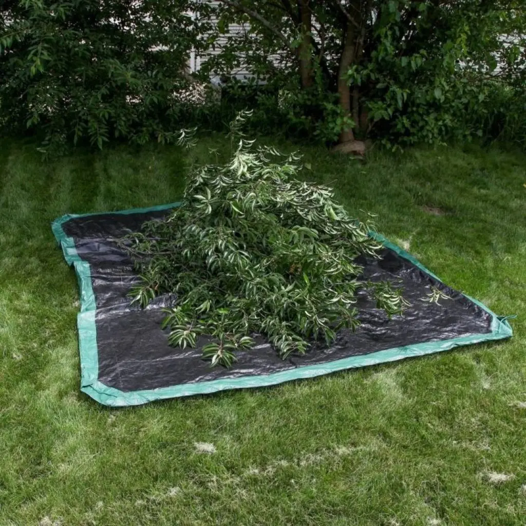 Using a Tarp