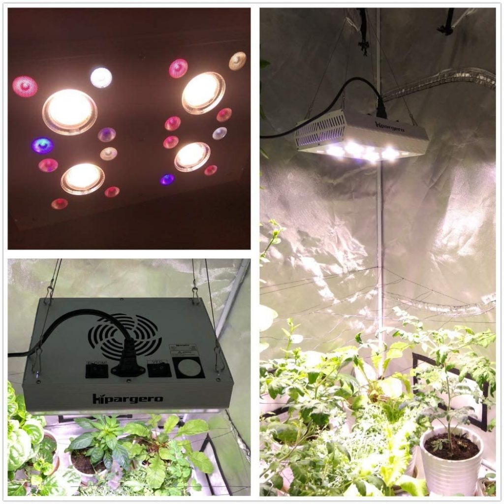 COB Grow Light