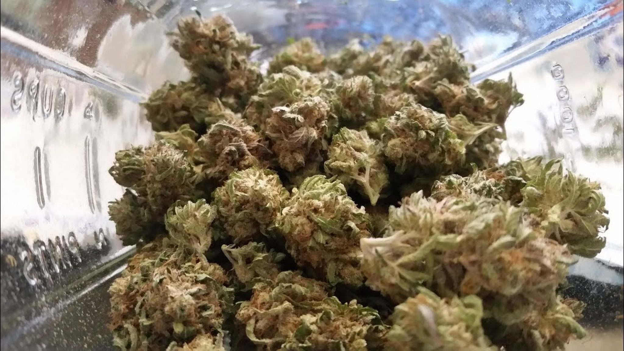 how-long-does-it-take-to-dry-weed