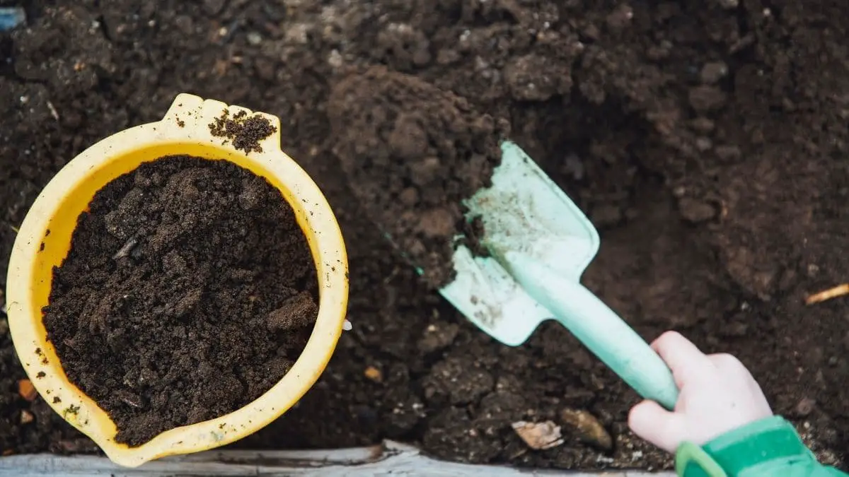 How to Use Crab Shells in Compost? The Ultimate Guide