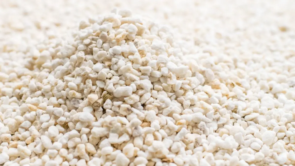 Perlite Substitute: Read All About the Possible Options