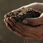 What is Vigoro Organic Garden Soil?