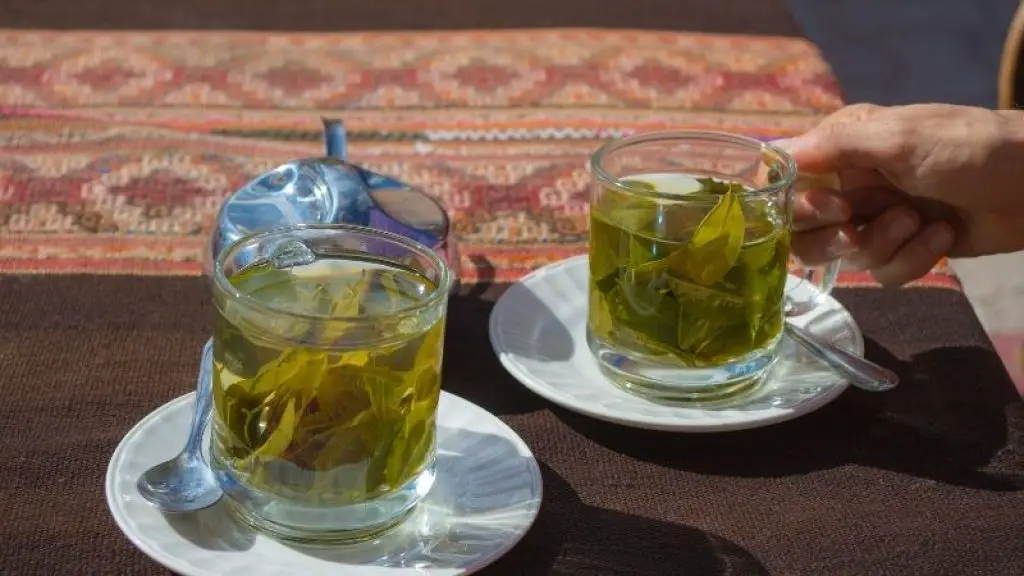 Coca Plant leaves tea