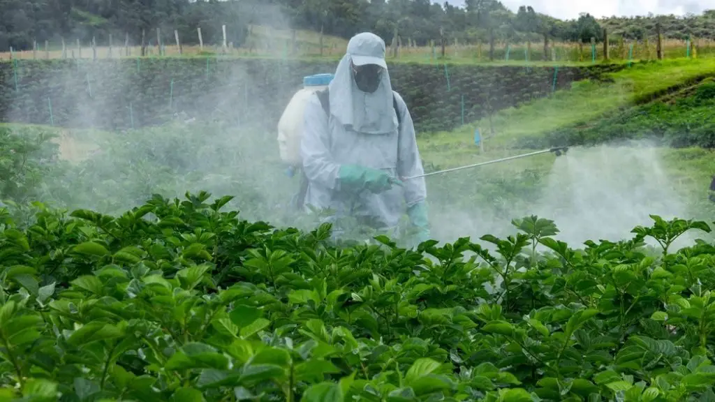 Monterey Garden Insect Spray Soil Drench
