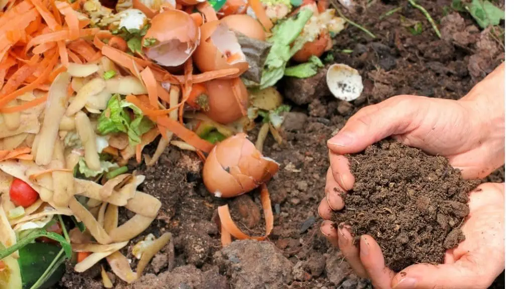 Cupertino Free Compost making