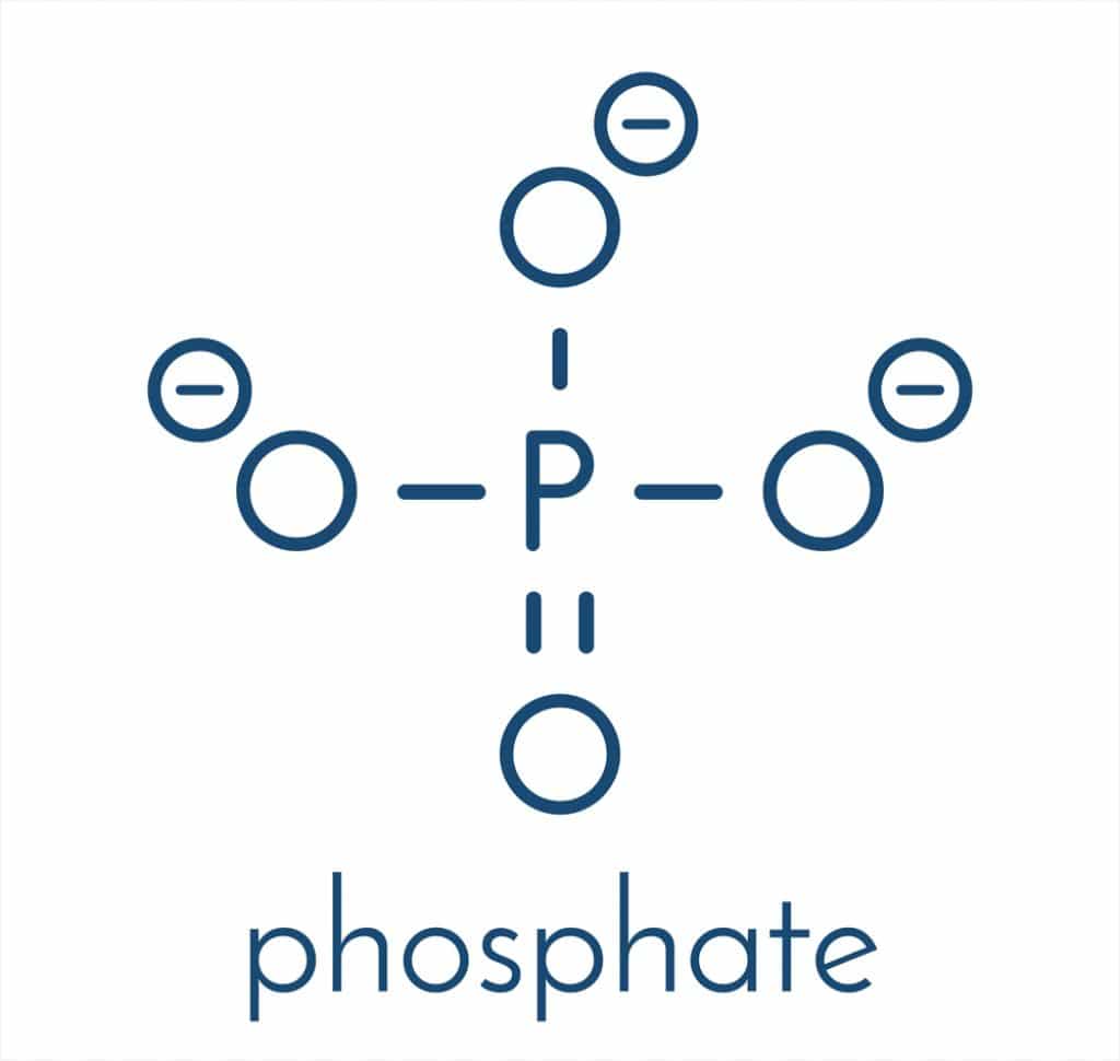 Phosphate vs Phosphite