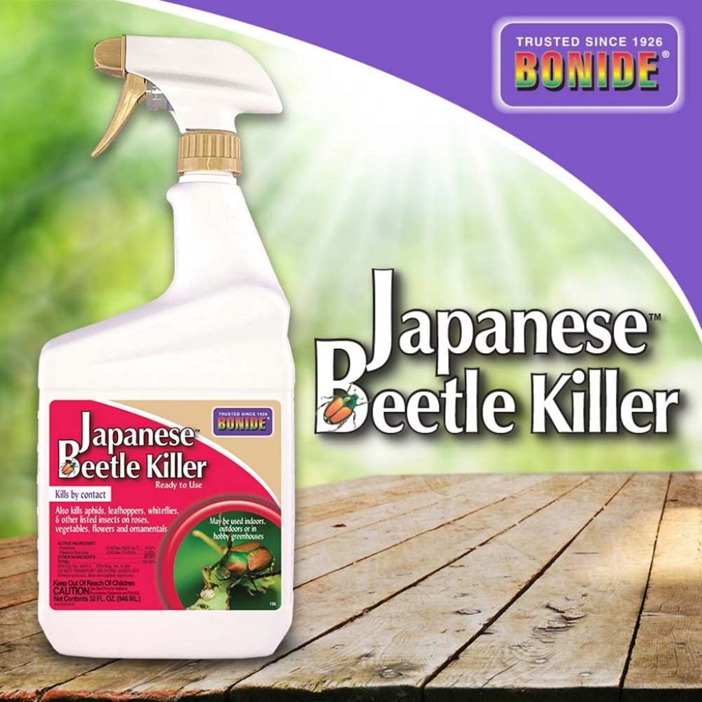 Best Japanese Beetle Killer 