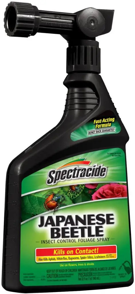 Best Japanese Beetle Killer 