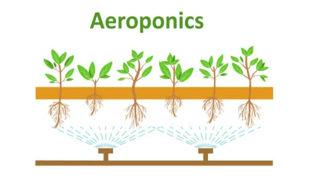 Ultrasonic Fogger Aeroponics
