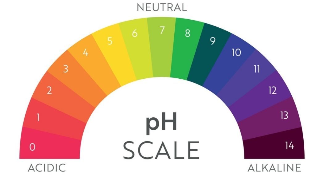 pH Scale to measure acidity