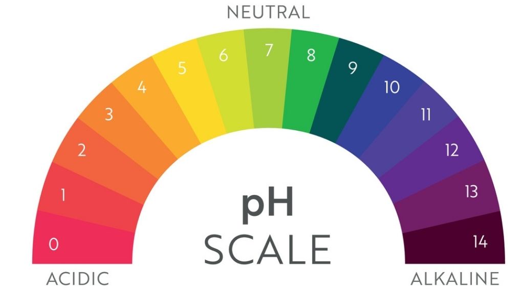 How To Raise Acid Levels in Soil? Know the Easy Steps!