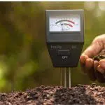 How to Make Acidic Soil Alkaline? Know the Easy Ways!
