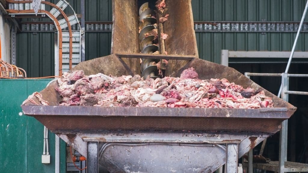 How Much Bone Meal Per Gallon Of Soil Know Now how-much-bone-meal-per-gallon-of-soil-know-now