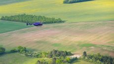 Can Helicopters spot one Plant? The Answer might Amaze you.