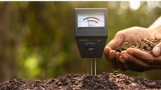 How to Make Acidic Soil Alkaline? Know the Easy Ways!