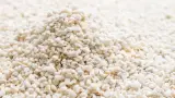 Perlite Substitute: Read All About the Best Possible Options