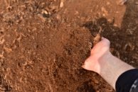 Sphagnum Peat Moss Organic- Is It Worth It?